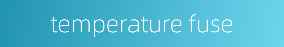 temperature fuse的同义词