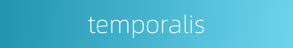 temporalis的同义词