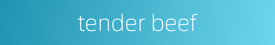 tender beef的同义词