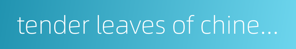 tender leaves of chinese toon的同义词