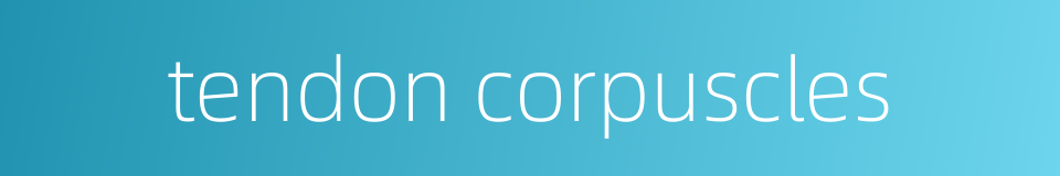 tendon corpuscles的同义词
