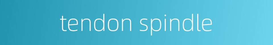 tendon spindle的同义词