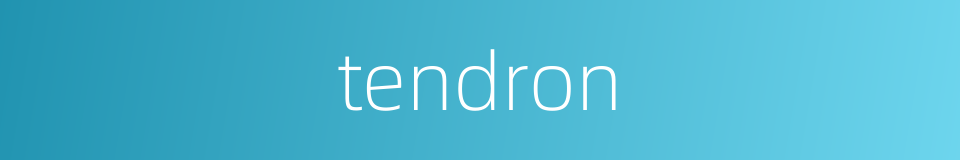 tendron的同义词