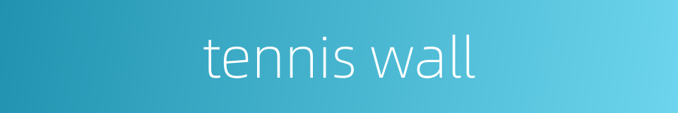 tennis wall的同义词