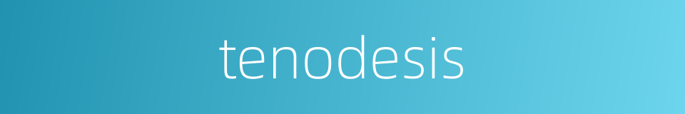 tenodesis的同义词