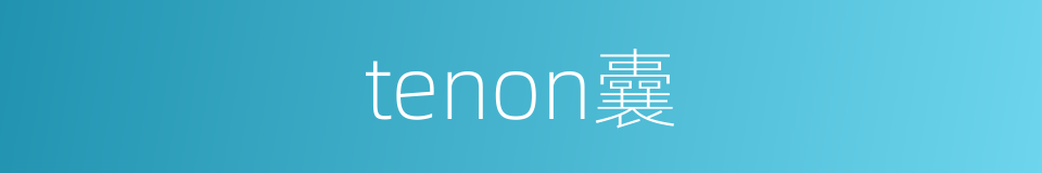 tenon囊的同义词