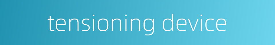 tensioning device的同义词