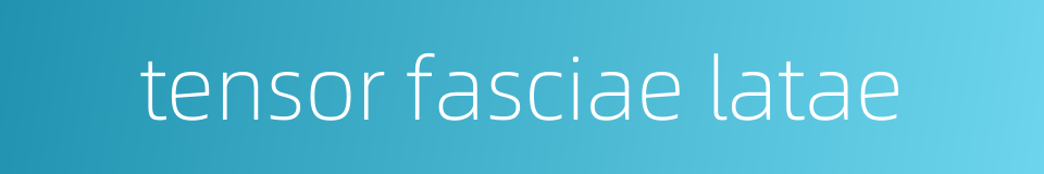 tensor fasciae latae的同义词