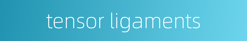 tensor ligaments的同义词