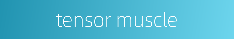 tensor muscle的同义词