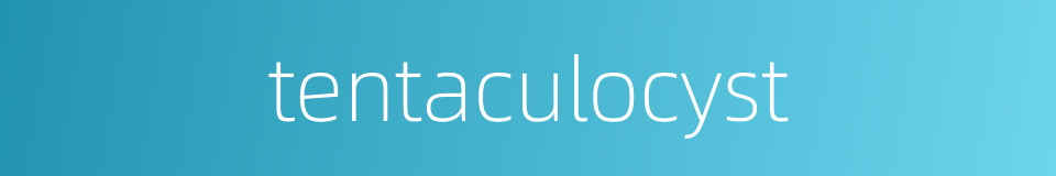 tentaculocyst的同义词