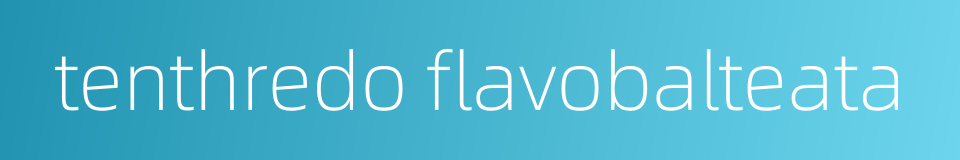 tenthredo flavobalteata的同义词