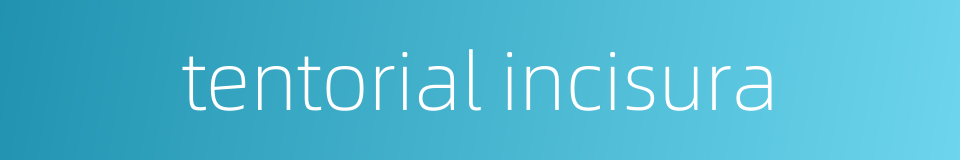 tentorial incisura的同义词
