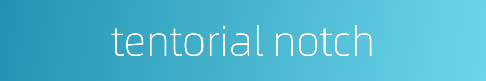 tentorial notch的同义词