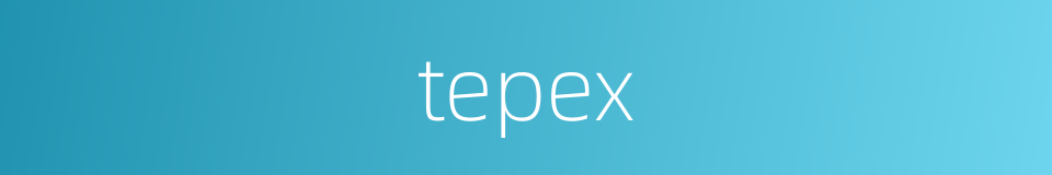 tepex的同义词