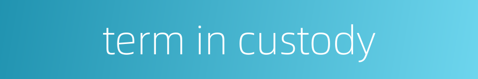 term in custody的同义词