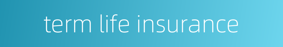 term life insurance的同义词