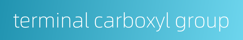 terminal carboxyl group的同义词