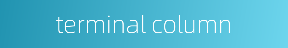terminal column的同义词