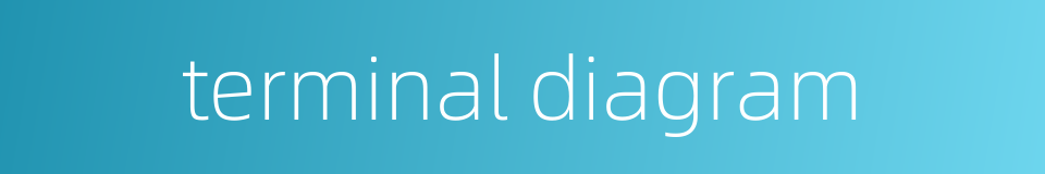 terminal diagram的同义词
