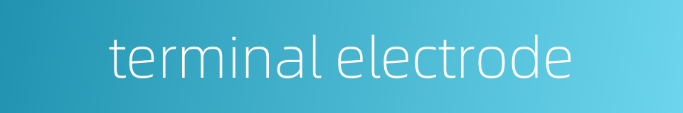 terminal electrode的同义词