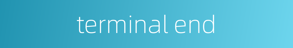 terminal end的同义词