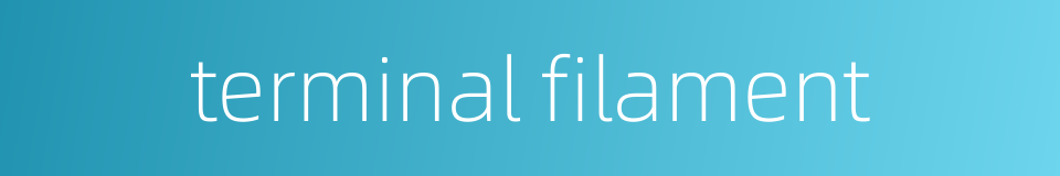 terminal filament的同义词