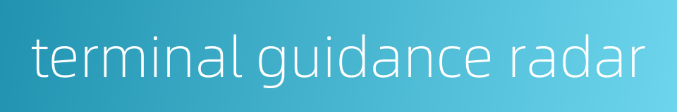 terminal guidance radar的同义词