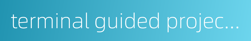 terminal guided projectile的同义词