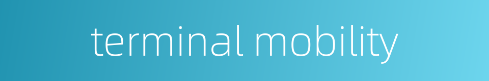 terminal mobility的同义词