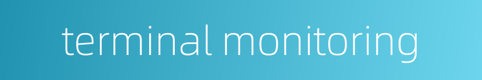 terminal monitoring的同义词