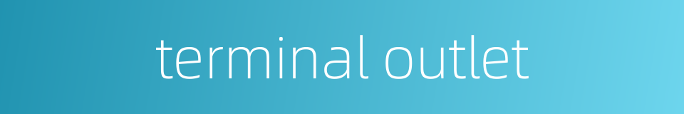 terminal outlet的同义词