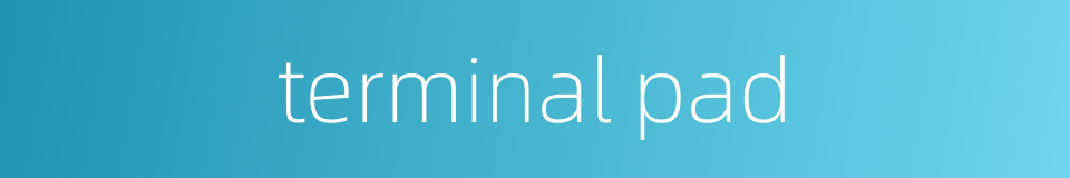 terminal pad的同义词