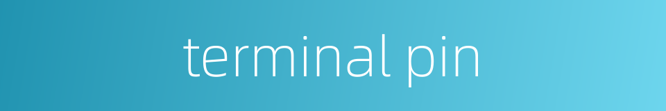 terminal pin的同义词