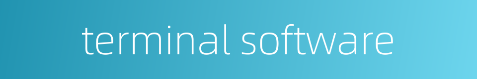 terminal software的同义词