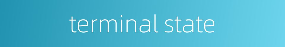 terminal state的同义词