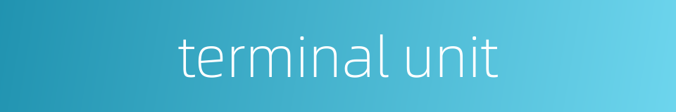 terminal unit的同义词