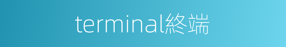 terminal終端的同義詞