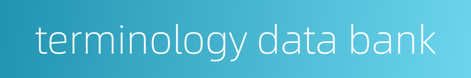 terminology data bank的同义词