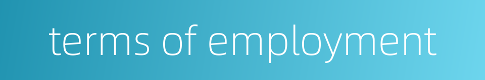 terms of employment的同义词