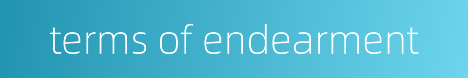 terms of endearment的同义词