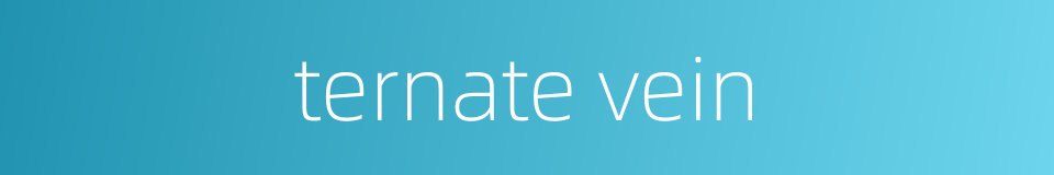 ternate vein的同义词