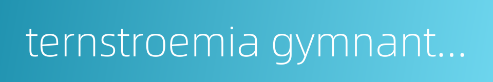 ternstroemia gymnanthera的同义词