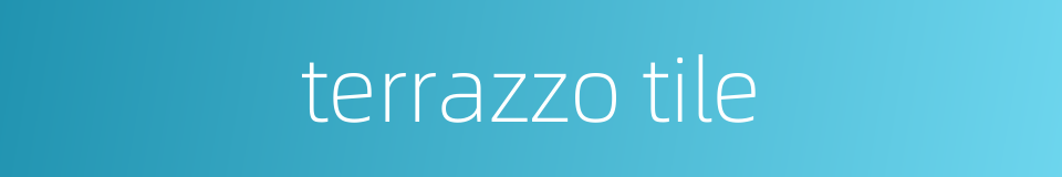 terrazzo tile的同义词