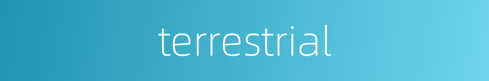 terrestrial的同义词