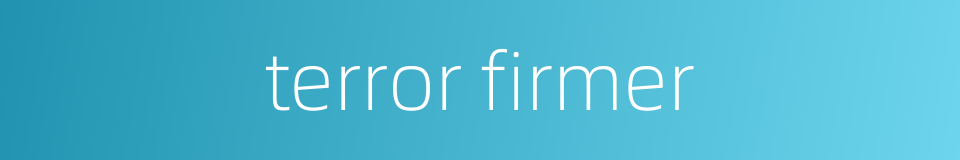 terror firmer的同义词