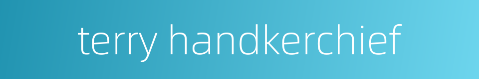 terry handkerchief的同义词