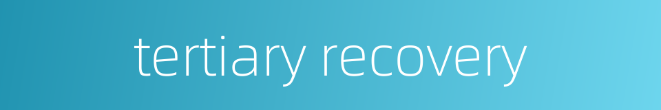 tertiary recovery的同义词