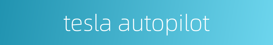 tesla autopilot的同义词