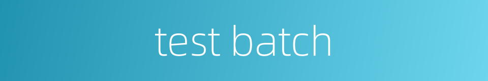 test batch的同义词